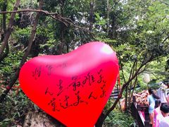 -将军关探险漂流