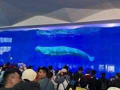 -泉城欧乐堡海洋极地世界