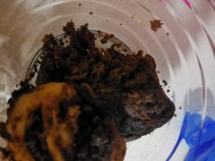 糖花卷-老回回饺子馆(海洋馆店)