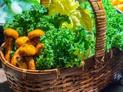 -蘑界·野生菌火锅(深业上城店)