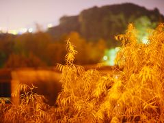 -苏州清山会议中心