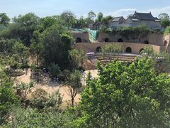 -樱桃沟景区