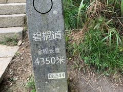 -梧桐山风景名胜区