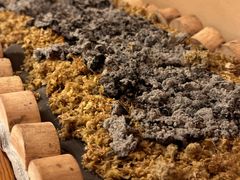 -左悦·艾灸调理·推拿按摩·精油SPA(卓悦汇店)
