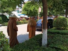 -法门文化景区