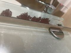 -香港尖沙咀皇悦酒店