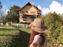 -黄色小屋