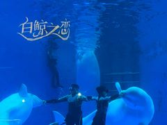 -海合安成都极地海洋公园