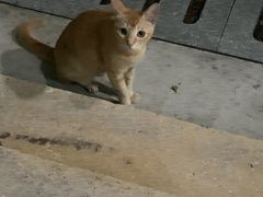 -奥冠体育华师附中恒温游泳馆