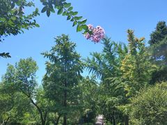 -国家植物园南园