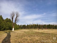 -汉长安城未央宫国家考古遗址公园