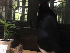 -猫的天空之城概念书店(杭州南宋御街店)