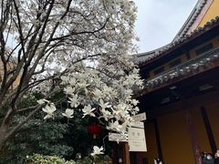 -龙华寺