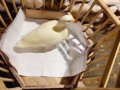 -馬蘭花開(车站大道店)