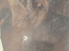 -王浩儿纪六孃甜皮鸭(乐山总店)