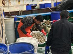 -吕四渔港码头海鲜餐厅