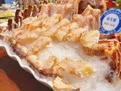 鲜活帝王蟹-东海怡品海鲜豆捞(舟宿夜江店)