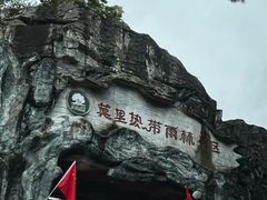 -莫里热带雨林景区