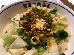 -贺秦生陕面王(富力城店)