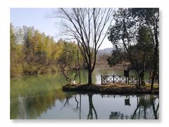 -西溪国家湿地公园