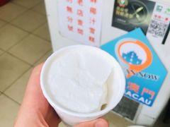 -洪馨椰子