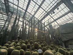 -南山植物园