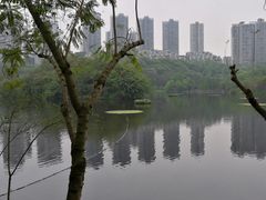 -重庆彩云湖湿地公园