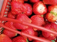 -长沙民政职业技术学院学生餐厅5食堂