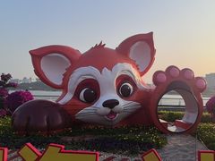 -野狸岛