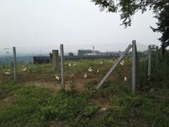 -终南山国家森林公园