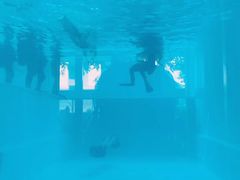 -上海潜殿潜水中心