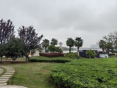 -九龙湖公园