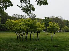 -贡湖湾湿地公园