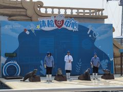 -秦皇岛乐岛海洋王国