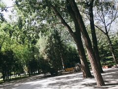 -森林公园(尖草坪区)