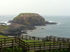 -企鹅岛