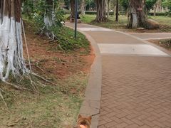 -白沙门生态公园