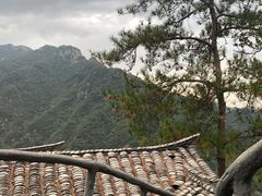 -龙湾潭国家森林公园