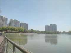 -南翔镇银翔湖公园