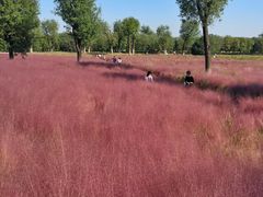 -汉长安城未央宫国家考古遗址公园