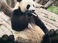 -大连森林动物园