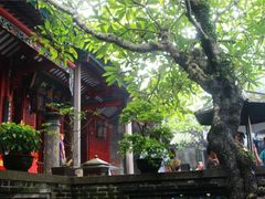 -国恩寺