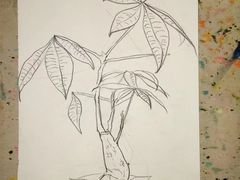 -白鹿艺术美学工作室 1 画室(MOMA校区)
