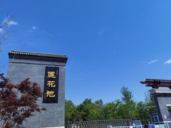 -莲花池公园