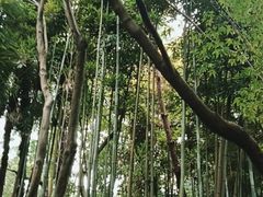 -成都杜甫草堂博物馆