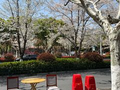 -全乐鱼馆·淳牌有机鱼直营店