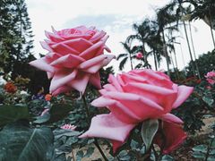 -人民公园(罗湖区)