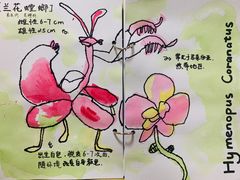 -白鹿艺术美学工作室 1 画室(MOMA校区)