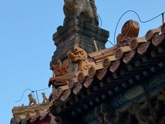 -北陵公园
