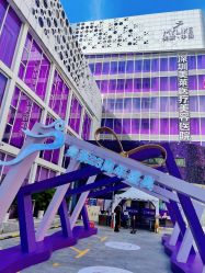 -深圳美莱医疗美容医院